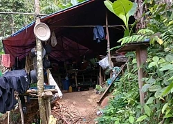 Quảng Trị lại phát hiện lán trại dựng giữa rừng để khai thác vàng trái phép