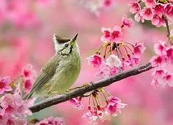 Sinh đúng ngày, số mệnh đổi khác: Ngày sinh Âm lịch của người bản lĩnh, vững vàng trước nghịch cảnh