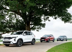 SUV Kia đa dạng lựa chọn, giá khởi điểm từ 499 triệu đồng