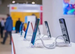 Thị trường smartphone toàn cầu tăng quý 2 liên tiếp: Samsung dẫn đầu, Apple đứng thứ hai