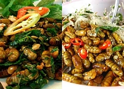 Top 7 món nhộng tằm dân nhậu dễ ghiền, người thành phố cũng mê, lại rất dễ làm tại nhà