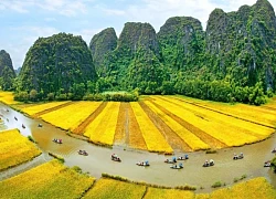 Việt Nam có 9 di sản thế giới danh giá trong hệ thống các danh hiệu của UNESCO
