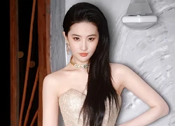 37 tuổi, Lưu Diệc Phi rũ bỏ hình tượng "thần tiên tỷ tỷ", bước vào vai diễn gai góc nhất sự nghiệp