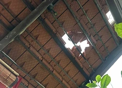 Ảnh hưởng của bão Wipha, Quảng Ninh xuất hiện mưa đá, sét đánh cháy núi