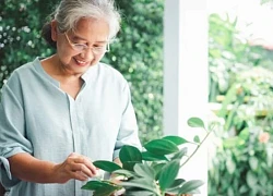 Bà lão 65 tuổi thuê nhà ra ở riêng sau 7 năm hi sinh: Bài học đắt giá cho mẹ chồng sống chung với con dâu