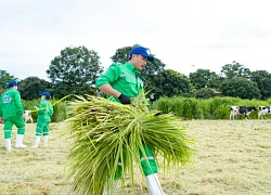 Bố ơi, mình đi đâu thế Tập 10 - Những trải nghiệm "có một không hai" tại Nghệ An