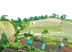 Bồng bềnh "biển mây" Hồng Thái