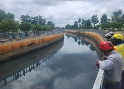 Cá sấu thường xuyên lên mô đất tắm nắng ở TPHCM đã bị vây bắt