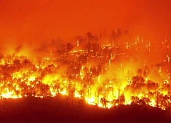 Cháy rừng ở Canada: Diện tích bị thiêu rụi gần bằng một quốc gia châu Âu