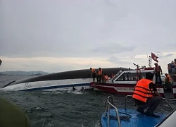 Chồng mất tích khi du lịch Hạ Long, vợ vỡ oà lần ra manh mối từ một video