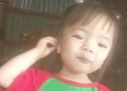 Chưa có "phép màu" về bé gái 2 tuổi mất tích