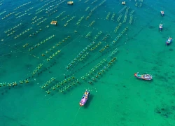 Đắk Lắk - Nơi đại ngàn gặp gỡ biển khơi