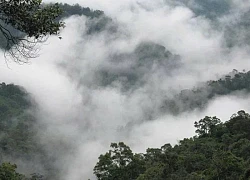 Đỉnh Pù Gió trong mây...
