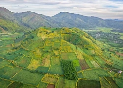 Gia Lai quy hoạch trọng điểm khu du lịch Biển Hồ Chư Đăng Ya