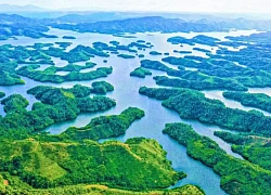 Khám phá "Âm vang từ Trái đất"