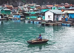 Khám phá "hòn ngọc xanh" của vịnh Bắc Bộ