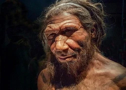 Khảo cổ học hé lộ đa dạng kỹ năng sinh tồn của người Neanderthal