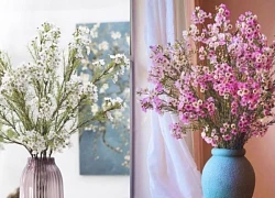 Loài hoa đánh thức tài lộc, cắm trên bàn thờ "đúng lễ nghi, chuẩn phong thủy", bề trên hài lòng!