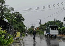 Nhiều cây xanh ngã đổ, đè cả vào ô tô trong mưa giông lớn ở TPHCM