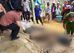 Phát hiện bộ xương người trong rừng sâu ở Quảng Ngãi