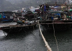 Quảng Ninh mưa gió mịt mù, cảnh sát gọi loa thuyết phục ngư dân rời thuyền