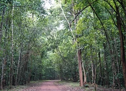 Rừng Mã Đà hoang sơ và huyền bí