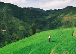 Sắc xanh ngày hè ở Xím Vàng