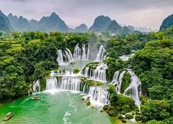 Thức quà mùa hè từ núi rừng chỉ có thể thưởng thức khi đến Cao Bằng