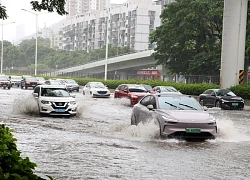Tỉnh Phúc Kiến (Trung Quốc) kích hoạt ứng phó khẩn cấp do bão Wipha