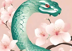 Không khoe mẽ, không bon chen: Top con giáp sống sâu sắc, không ngừng hoàn thiện bản thân