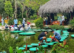 Trải nghiệm với du lịch văn hóa và canh nông