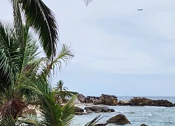 View ngắm máy bay tuyệt vời tại Free Beach Resort Phú Quốc