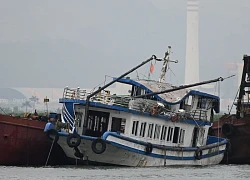 Vụ lật tàu trên Vịnh Hạ Long: Hai du thuyền Hạ Long xin lỗi vì bắn pháo hoa