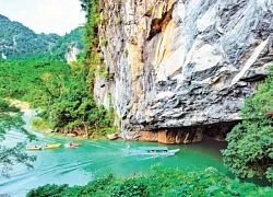 Vườn quốc gia Phong Nha-Kẻ Bàng phấn đấu đạt tiêu chuẩn Danh lục Xanh