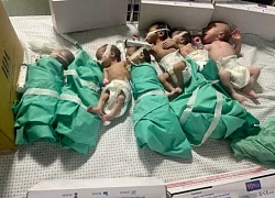 Bác sĩ ở Gaza kiệt quệ vì đói, không còn đủ sức cứu chữa bệnh nhân