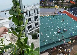 Bão Wipha như bị coi thường, bởi những pha "né bão" có 102 của người dân!
