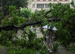 Bão Wipha quét qua Trung Quốc: Đường phố thành sông, cây cối gãy đổ