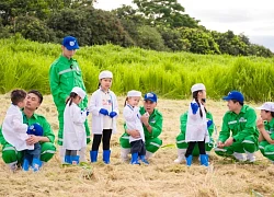 'Bố ơi, mình đi đâu thế?' khám phá sự lý thú của ngôn ngữ Thái cổ
