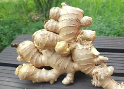 Cách làm tóc mọc nhanh dài bằng nguyên liệu tự nhiên
