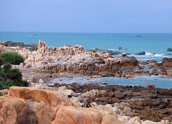 Cắm trại, ngắm bình minh bên biển Mũi Trọ ở Lâm Đồng