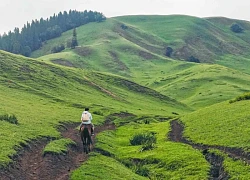 Cưỡi ngựa trên thảo nguyên Nalati ở Tân Cương