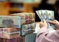 Đầu tư chứng khoán online, hai nạn nhân bị lừa 15 tỷ đồng
