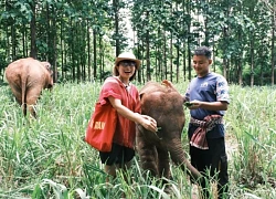 Du lịch Thái Lan: Gần gũi thiên nhiên- Chạm đến văn hóa- Nếm trọn vị bản địa