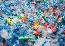 EU kiện Pháp vì quy định dán nhãn phân loại rác vi phạm luật thị trường chung