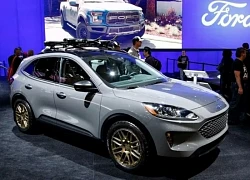 Ford đưa về xưởng sửa chữa hơn 694.000 xe do nguy cơ cháy nổ