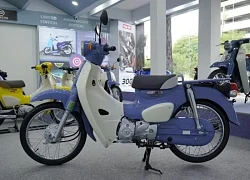 Honda Super Cub 50 Final Edition về Việt Nam với giá khoảng 46 triệu đồng