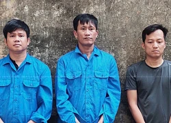 Khởi tố 247 đối tượng sử dụng, chứa chấp ma túy ở 3 quán bar địa bàn TP Hồ Chí Minh