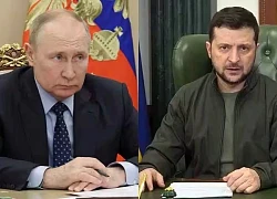 Nga nêu điều kiện cho cuộc gặp giữa ông Putin và ông Zelensky
