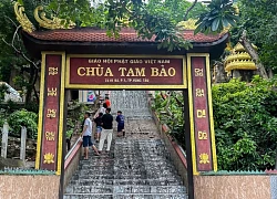 Ngôi chùa ẩn mình trên núi ở TPHCM có đàn khỉ hàng trăm con, hút khách ghé thăm