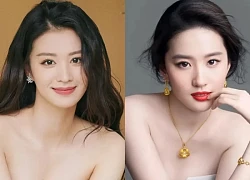 Những cặp sao giống nhau khiến khán giả dễ nhầm lẫn